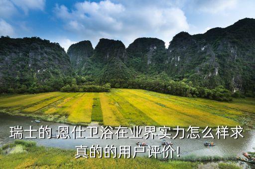 瑞士的 恩仕衛(wèi)浴在業(yè)界實(shí)力怎么樣求真的的用戶評價(jià)!