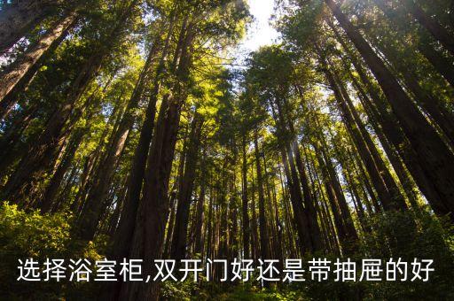 選擇浴室柜,雙開門好還是帶抽屜的好