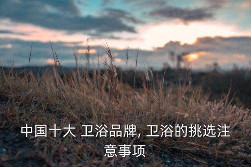 中國(guó)十大 衛(wèi)浴品牌, 衛(wèi)浴的挑選注意事項(xiàng)