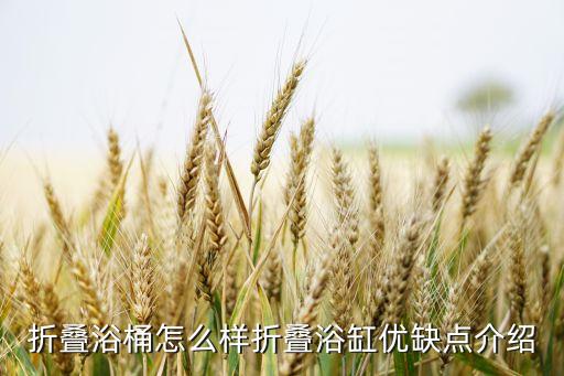折疊浴桶怎么樣折疊浴缸優(yōu)缺點介紹
