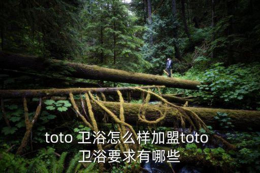 toto 衛(wèi)浴怎么樣加盟toto 衛(wèi)浴要求有哪些