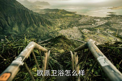 歐派衛(wèi)浴怎么樣