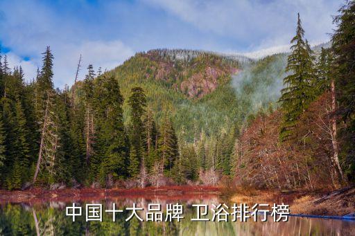 智能整體衛(wèi)浴裝修圖片,衛(wèi)浴裝修效果圖大全2013圖片
