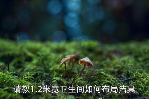衛(wèi)浴區(qū)小隔間效果圖片