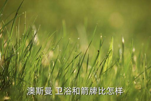 澳斯曼 衛(wèi)浴和箭牌比怎樣