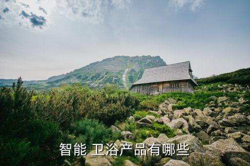 智能 衛(wèi)浴產(chǎn)品有哪些