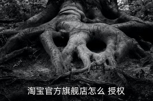 淘寶官方旗艦店怎么 授權(quán)