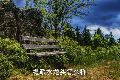 緹派水龍頭怎么樣