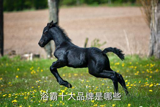 衛(wèi)浴線性浴霸品牌排名,線性風(fēng)暖浴霸排名