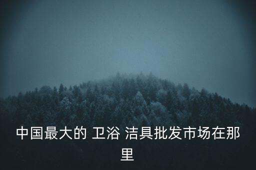 中國(guó)最大的 衛(wèi)浴 潔具批發(fā)市場(chǎng)在那里