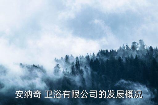 安納奇 衛(wèi)浴有限公司的發(fā)展概況