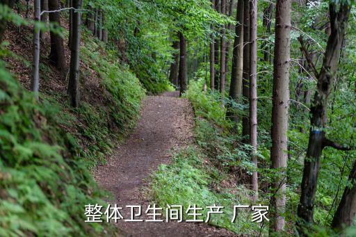 整體衛(wèi)生間生產(chǎn) 廠家