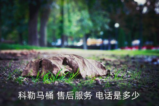 科勒馬桶 售后服務(wù) 電話是多少