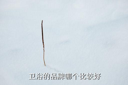 衛(wèi)浴的品牌哪個比較好