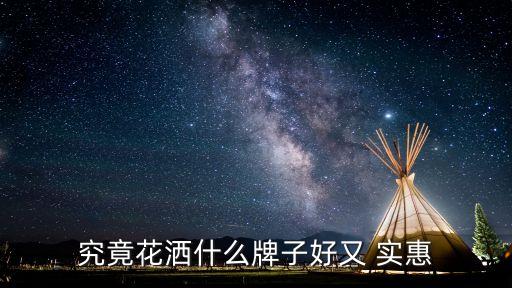 究竟花灑什么牌子好又 實惠