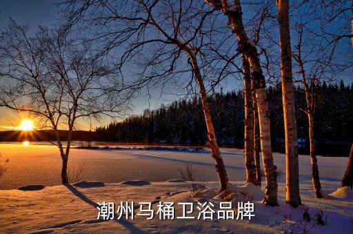 怎么加盟東姿衛(wèi)浴品牌,東姿衛(wèi)浴加盟電話(huà)