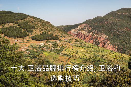 十大 衛(wèi)浴品牌排行榜介紹, 衛(wèi)浴的選購技巧