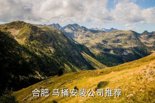 合肥 馬桶安裝公司推薦