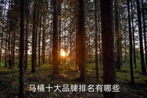  馬桶十大品牌排名有哪些