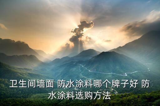 衛(wèi)浴防水油漆效果圖片欣賞