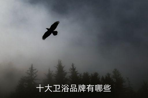 買衛(wèi)浴好賺錢圖片