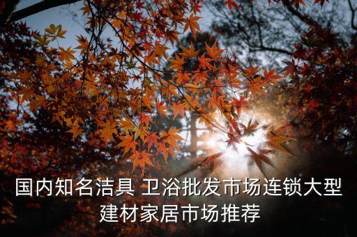 國內(nèi)知名潔具 衛(wèi)浴批發(fā)市場連鎖大型 建材家居市場推薦