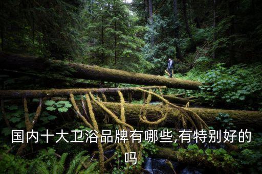 國內(nèi)十大衛(wèi)浴品牌有哪些,有特別好的嗎