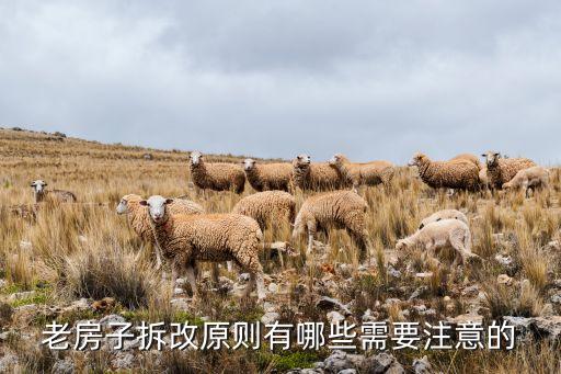 老房子拆改原則有哪些需要注意的