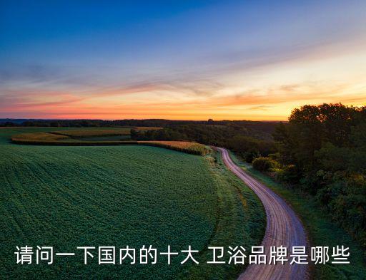 請問一下國內(nèi)的十大 衛(wèi)浴品牌是哪些