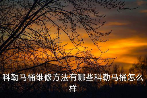 科勒馬桶維修方法有哪些科勒馬桶怎么樣