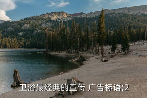 品牌衛(wèi)浴廣告,衛(wèi)浴品牌排行榜前十名