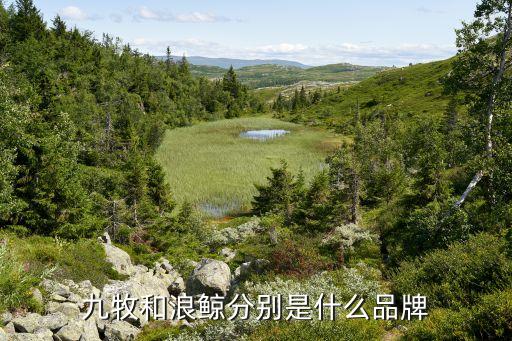 浪鯨衛(wèi)浴門店圖片大全,蘭州浪鯨衛(wèi)浴門店