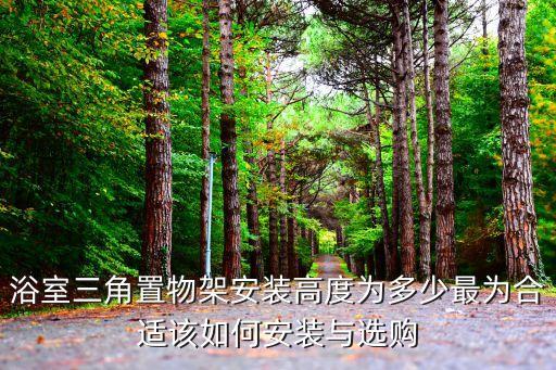20平方衛(wèi)浴擺放圖片,衛(wèi)浴掛件五件套擺放圖片