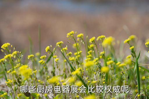 哪些廚房電器展會(huì)比較權(quán)威呢