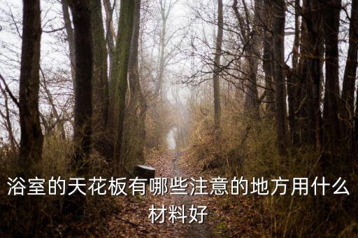 浴室的天花板有哪些注意的地方用什么材料好