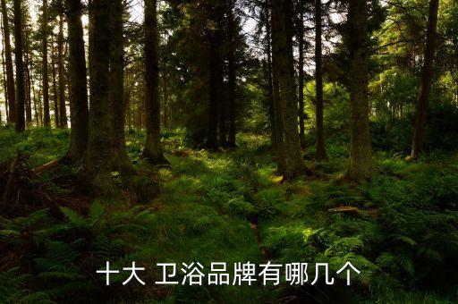 十大 衛(wèi)浴品牌有哪幾個
