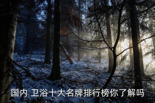 寧夏不銹鋼衛(wèi)浴品牌有哪些,304不銹鋼衛(wèi)浴掛件品牌哪個好