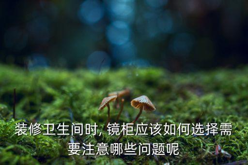 裝修衛(wèi)生間時, 鏡柜應(yīng)該如何選擇需要注意哪些問題呢