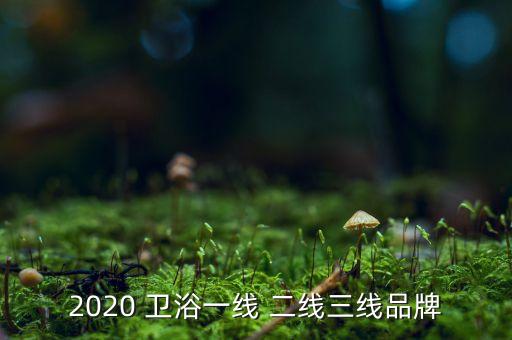 衛(wèi)浴廣東二線品牌排行榜,廣東衛(wèi)浴品牌排行榜前十名2022