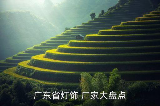 廣東省燈飾 廠家大盤(pán)點(diǎn)