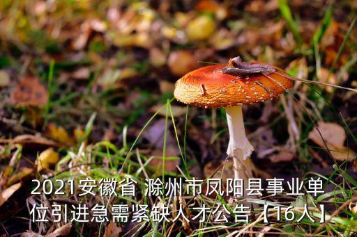 滁州衛(wèi)浴模具招聘電話,滁州模具拋光招聘