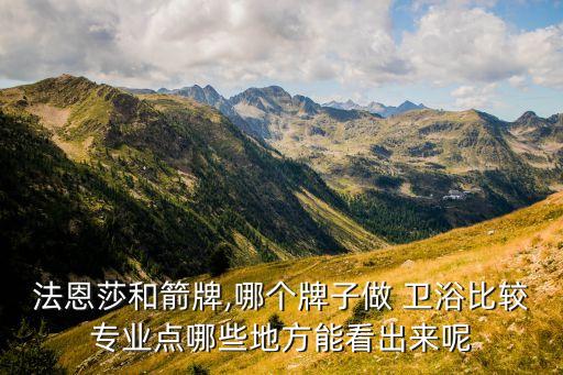 法恩莎和箭牌,哪個(gè)牌子做 衛(wèi)浴比較專業(yè)點(diǎn)哪些地方能看出來呢