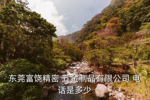 東莞富饒精密 五金制品有限公司 電話是多少