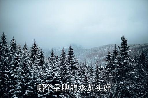 哪個(gè)品牌的水龍頭好
