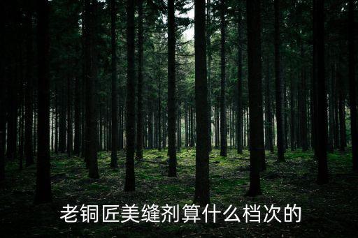  老銅匠美縫劑算什么檔次的