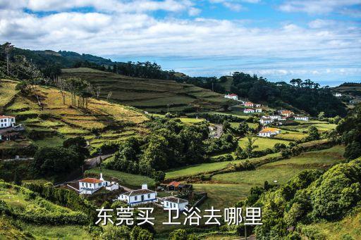 東莞買(mǎi) 衛(wèi)浴去哪里