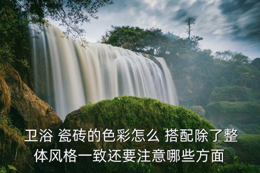 黃色瓷磚搭配什么衛(wèi)浴品牌