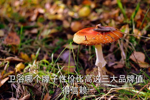 什么品牌潔具衛(wèi)浴好又實(shí)惠