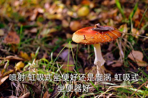 航邦衛(wèi)浴虹吸式馬桶圖片