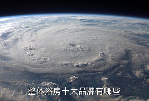 個(gè)性化衛(wèi)浴品牌,中國(guó)十大衛(wèi)浴品牌有哪些